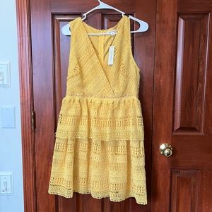 Honey Butter Yellow All Lace Miami From Francesca’s  Dress